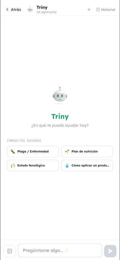 Pantalla del asistente Triny